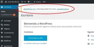 Actualización versiones WordPress