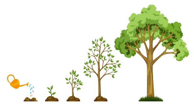 Crecimiento de la estructura web en árbol - Alt Solutions Blog